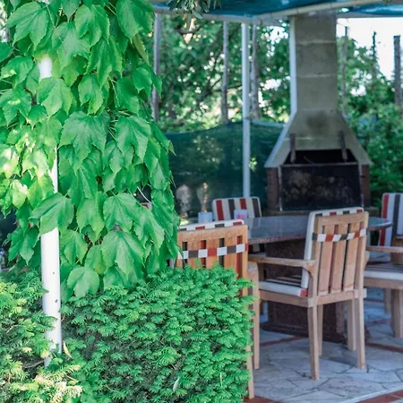 Family Friendly House With A Swimming Pool Basanija, Umag - 27236 * Savudrija